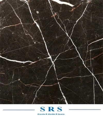 Ladrilho de mármore preto Saint Laurent para parede / piso / bancada